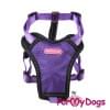 Шлейка Фиолетовая FMD для собак 