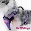 Шлейка Фиолетовая FMD для собак 