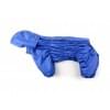 Дождевик Blue синий непромокаемый с капюшоном для собак породы бигль, шарпей, чау-чау, кокер спаниель, английский бульдог